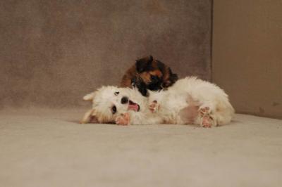 Oct20a_04_097.JPG