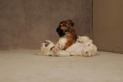 Oct20a_04_104.JPG