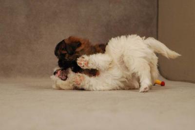 Oct20a_04_109.JPG