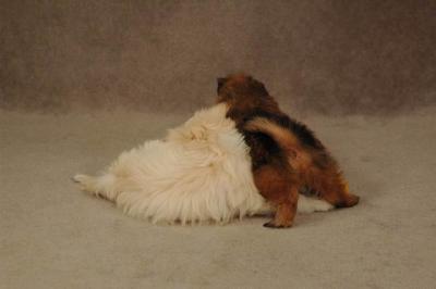 Oct20a_04_129.JPG