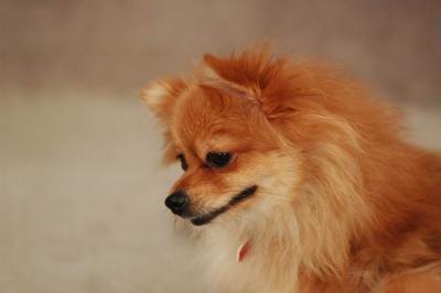 Oct20a_04_153.JPG