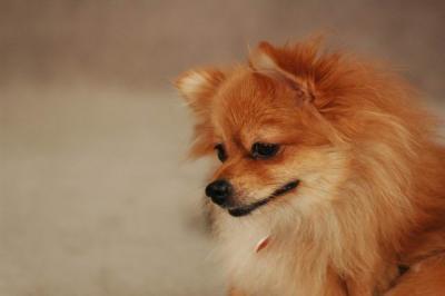 Oct20a_04_154.JPG