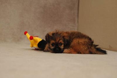 Oct20a_04_156.JPG