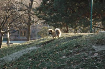 Dec15_04_041.JPG