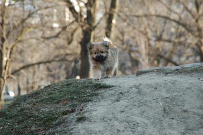Dec15_04_043.JPG