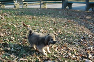 u6/billmcintyre/medium/37581953.Dec15_04_131.jpg