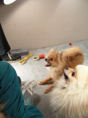 Feb6_04_016.jpg