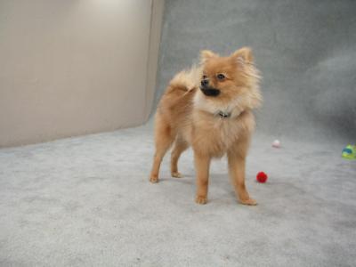 Feb6_04_058.jpg