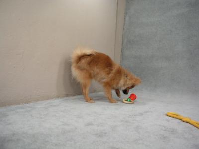 Feb6_04_068.jpg
