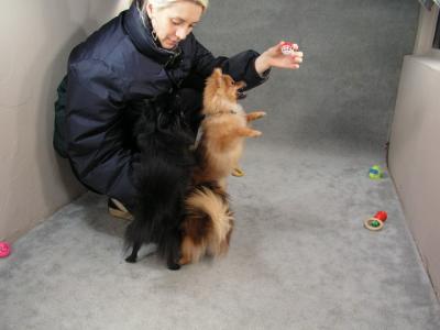 Feb6_04_074.jpg