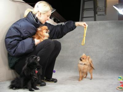 Feb6_04_088.jpg