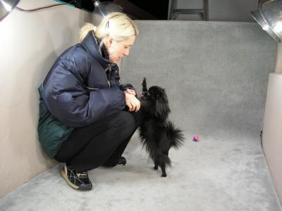 Feb6_04_090.jpg