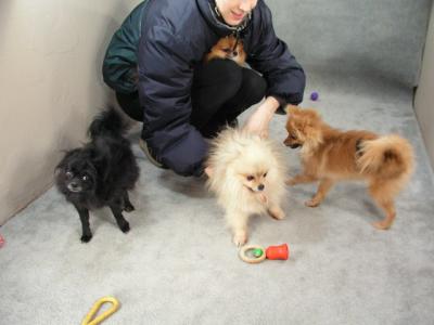 Feb6_04_094.jpg