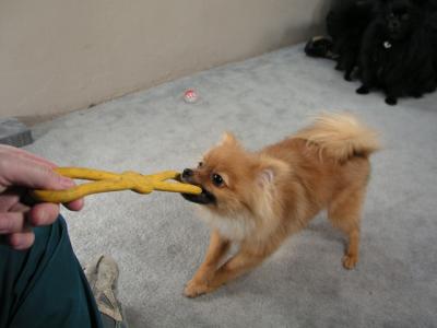 Feb6_04_210.jpg