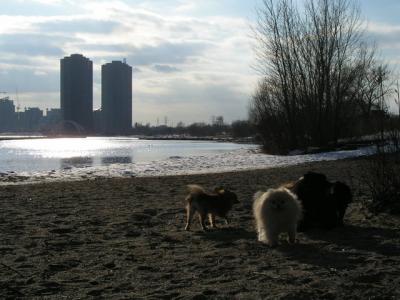 Feb25_04_039.jpg