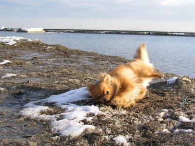 Feb25_04_048.jpg
