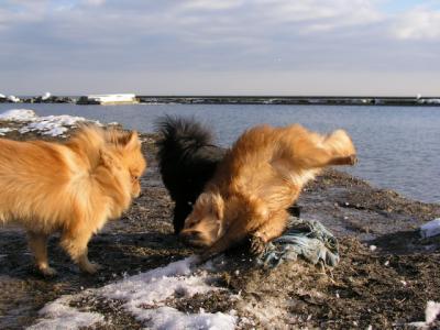 Feb25_04_049.jpg