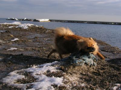 Feb25_04_052.jpg