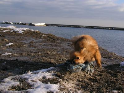 Feb25_04_053.jpg
