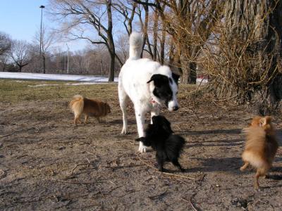 Feb25_04_057.jpg