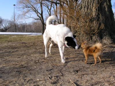 Feb25_04_058.jpg