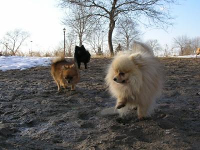 Feb25_04_065.jpg