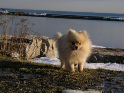 Feb25_04_079.jpg