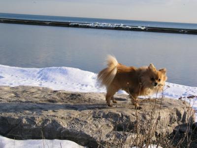 Feb25_04_080.jpg