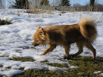 Feb25_04_083.jpg