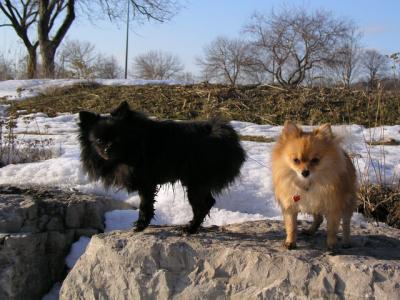 Feb25_04_085.jpg