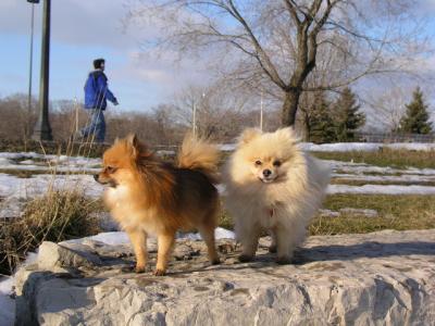 Feb25_04_088.jpg