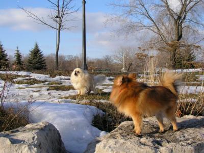 Feb25_04_091.jpg