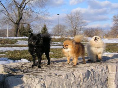 Feb25_04_094.jpg