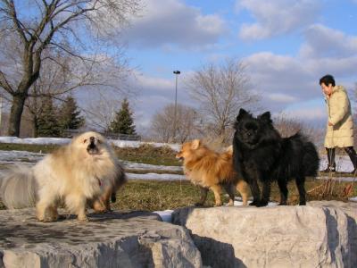 Feb25_04_099.jpg
