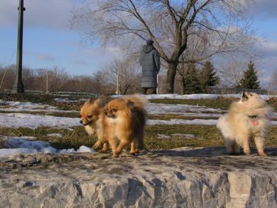 Feb25_04_100.jpg