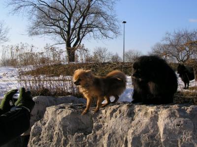 Feb25_04_111.jpg