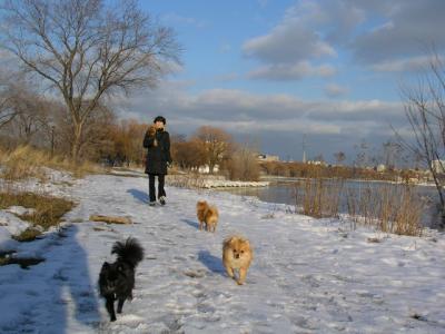 Feb25_04_113.jpg