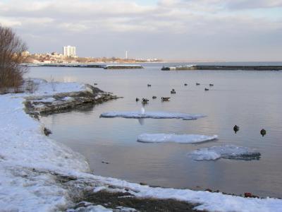 Feb25_04_123.jpg