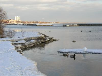 Feb25_04_137.jpg