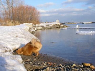 Feb25_04_141.jpg