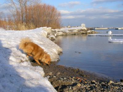Feb25_04_143.jpg