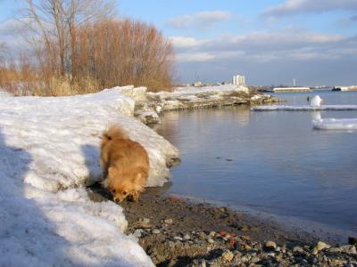 Feb25_04_144.jpg