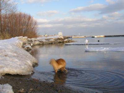 Feb25_04_146.jpg