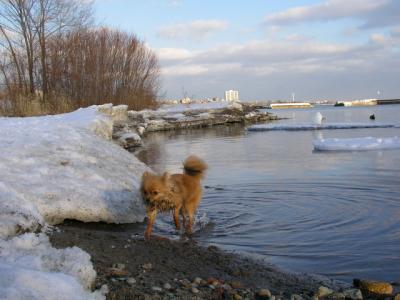 Feb25_04_147.jpg