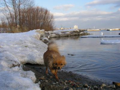 Feb25_04_148.jpg