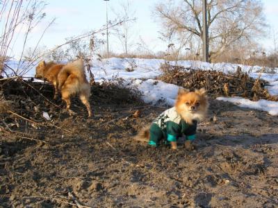 Feb25_04_149.jpg