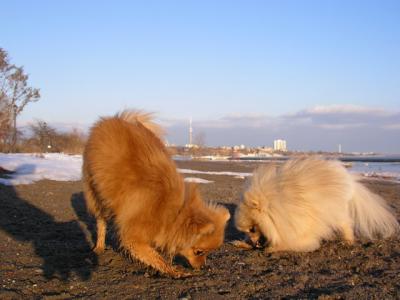 Feb25_04_238.jpg