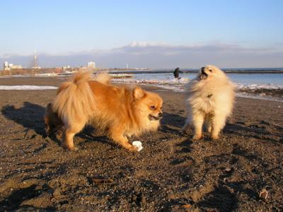 Feb25_04_244.jpg