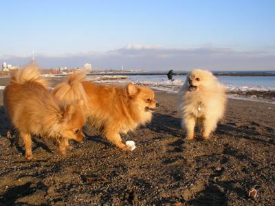 Feb25_04_245.jpg