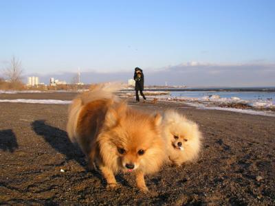 Feb25_04_249.jpg